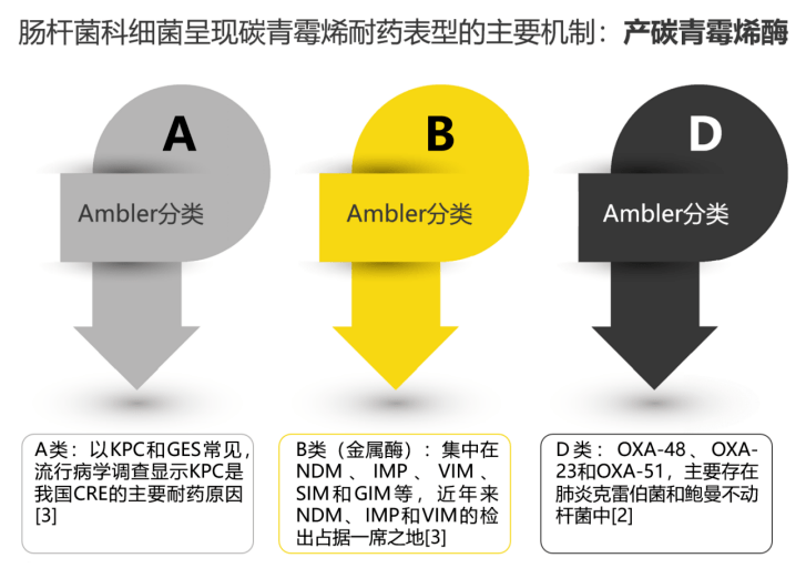 其中a类以kpc和ges常见,目前流行病学调查显示kpc是我国cre的主要耐药