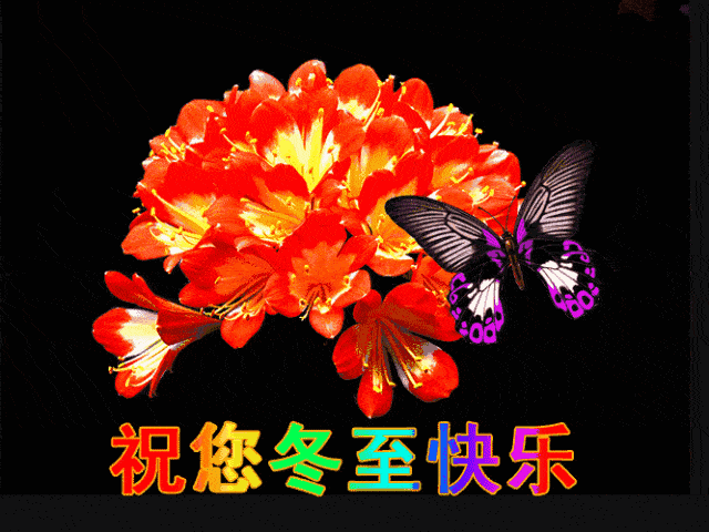 早上好表情包,冬至到,祝福送到,67愿你冬至安康