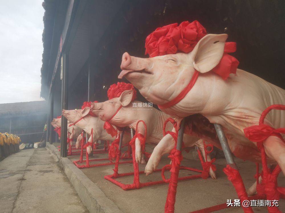 祭祀时,羌族同胞将猪头猪尾宰割下来,祭拜山神,灶神和祖先,用猪头猪尾