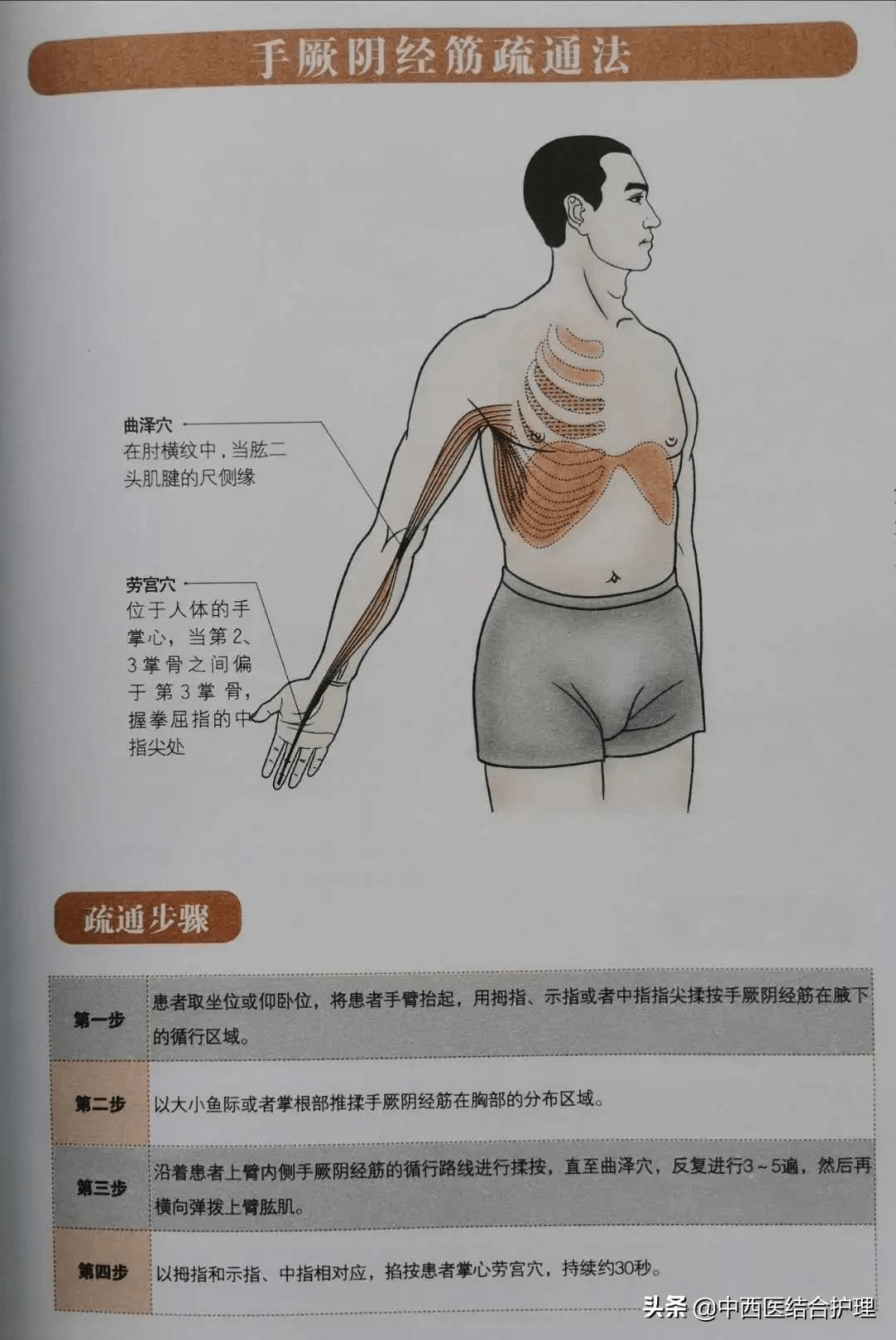 经络养生科普十二经筋经络之手厥阴心包筋经