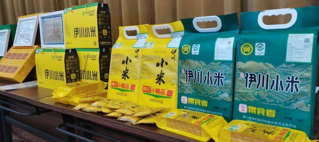 共鉴小米品质赋能千年名粟伊川小米品鉴会隆重召开
