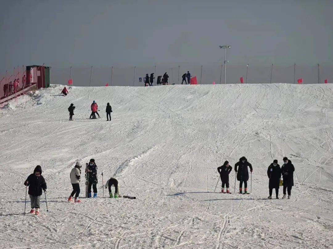 助力冬奥会嗨玩这个冬天德州市首届冰雪节在宁津杂技蟋蟀谷滑雪场开幕