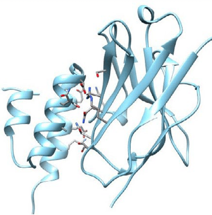 amsphere64 a3 protein a树脂:抗体片段和单域抗体纯化新选择_进行