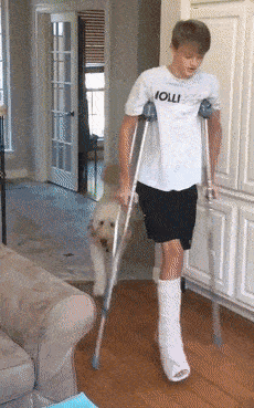 230_369gif 动态图 动图