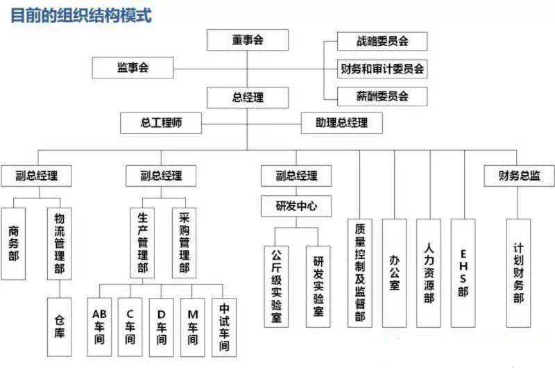 项目纪实某化工企业组织结构优化与运营模式调整项目纪实