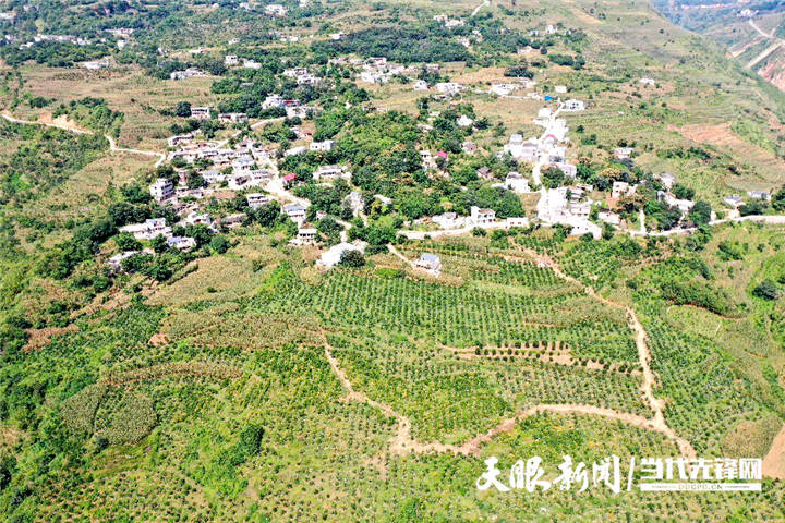 直至油门的轰鸣声消失在山间,威宁自治县新发乡田边村党支部书记李吉