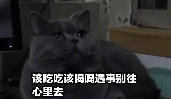 8feb5a6df4984e6cabe3acfb5220bd7c.jpeg