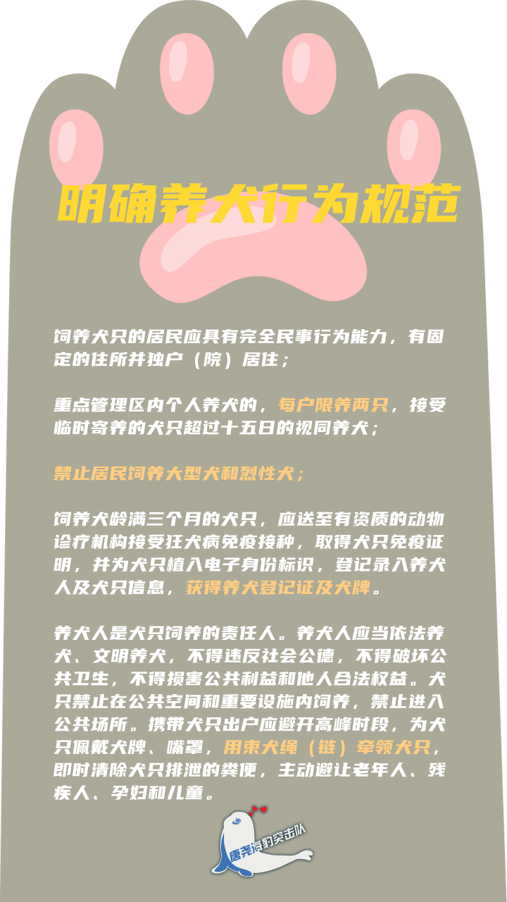 海报保定市养犬管理条例今年正式实施这些要注意