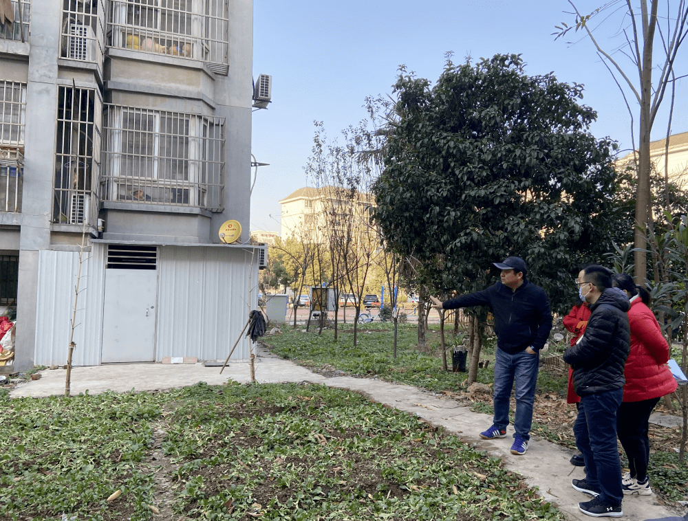 牌楼社区所辖的澛港新镇东区,北邻文津西路,南邻峨山路,东邻中山南路