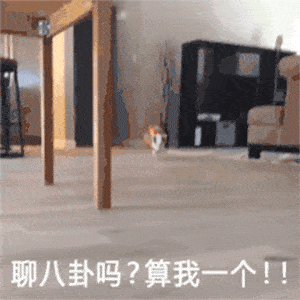 每日沙雕表情包