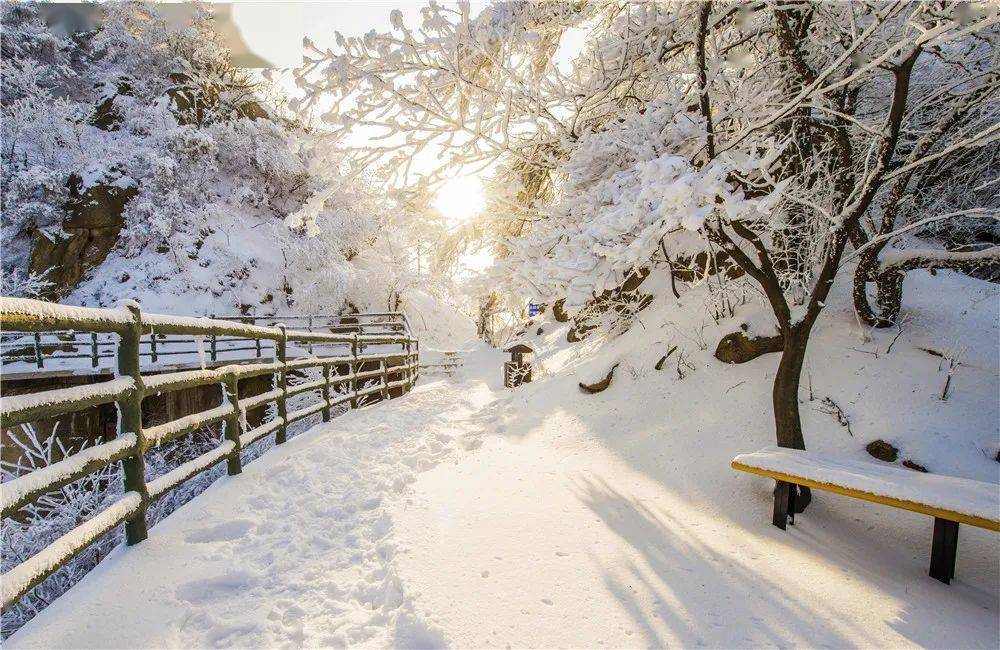 郯城望海楼滑雪场●临沭夹谷关滑雪场●莒南茶溪川滑雪公园●平邑水浥