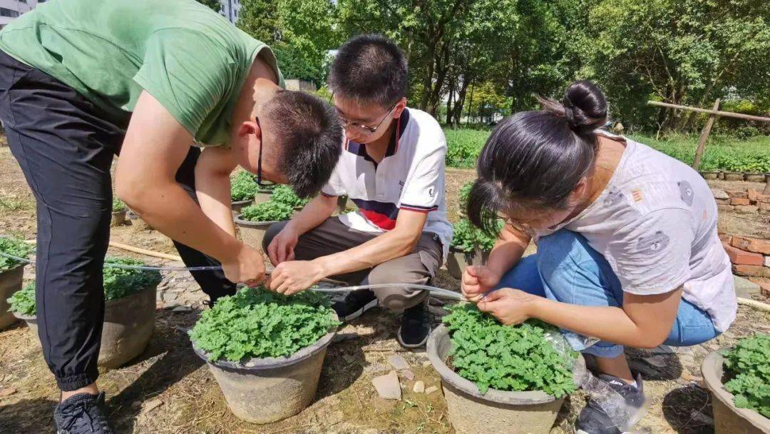 推ta上头条绩点491连续3年专业第一水之子王诚昊交出闪亮青春答卷