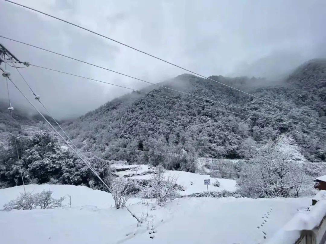 2022年会理下雪后朋友圈比雪地还热闹快来分享你的心情