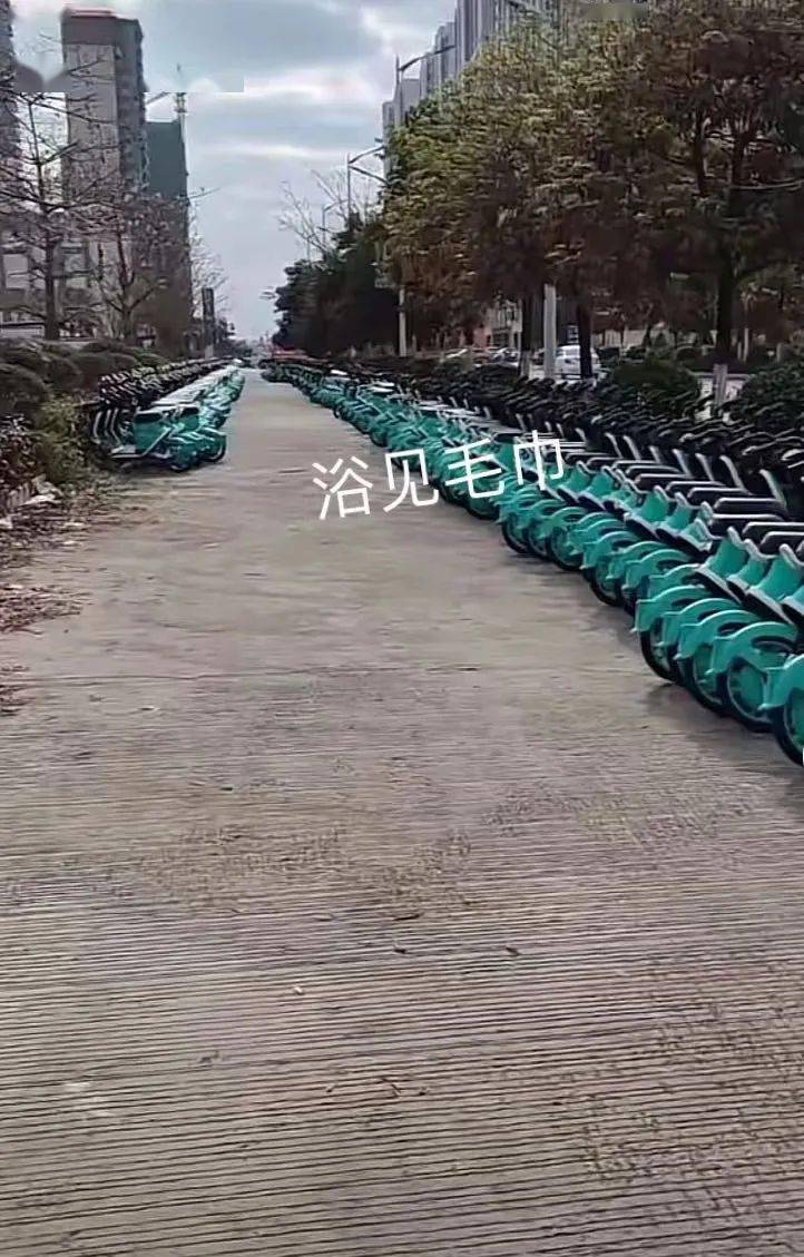 毅德城那边停着很多电动共享单车将在兴宁投放