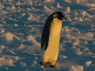 320_240gif 动态图 动图