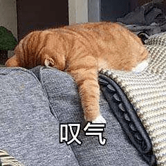 腾讯氪金都买不下来的元宇宙第一股门票,在这里拍