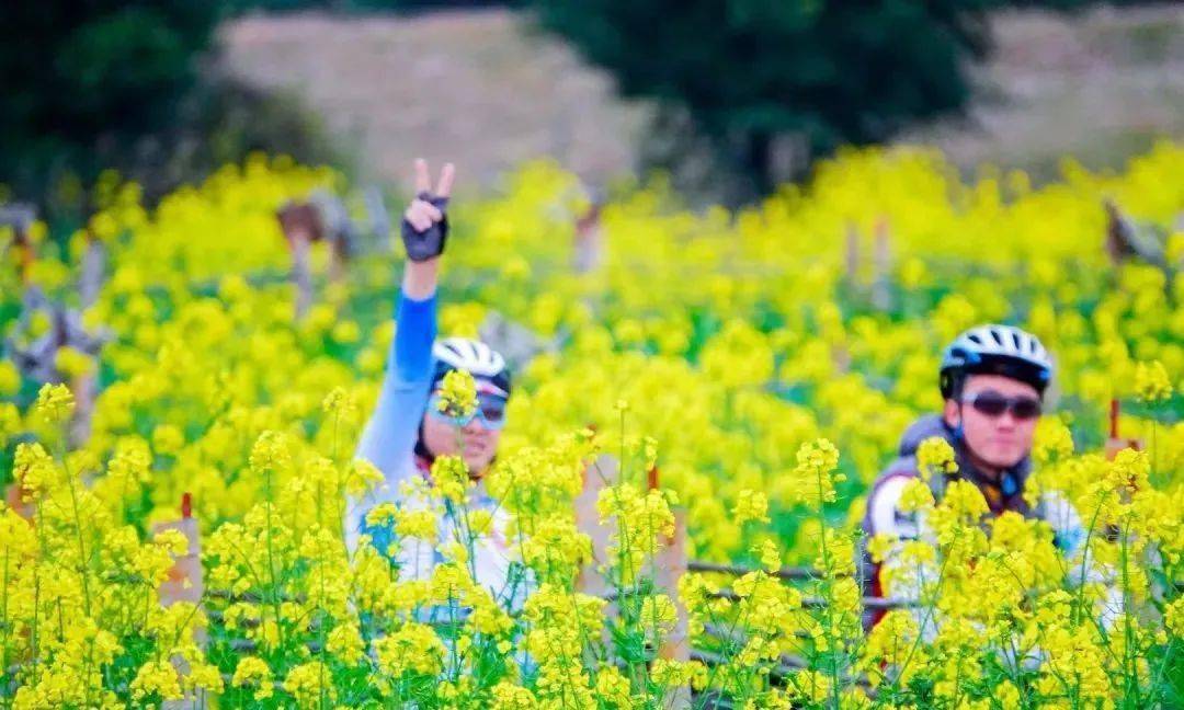 71观赏地点:梯面镇红山村,赤坭镇蓝田村