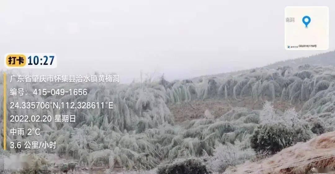 防冻Ⅳ级应急响应启动肇庆这里下雪了雾凇冰挂齐上线德庆什么时候回暖