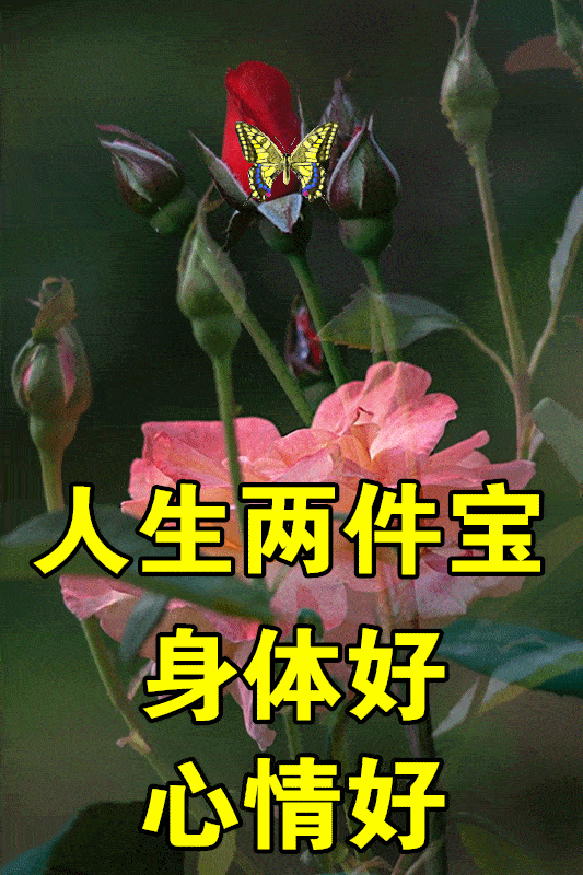 3月2日最漂亮早上好动态表情图片及动图美图大全 天呐!你舍得睡她吗?