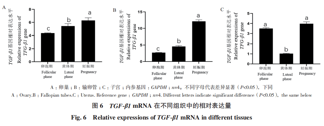 杨昕冉 1,王建芳 1,马鑫浩 1,昝林森 1,21.