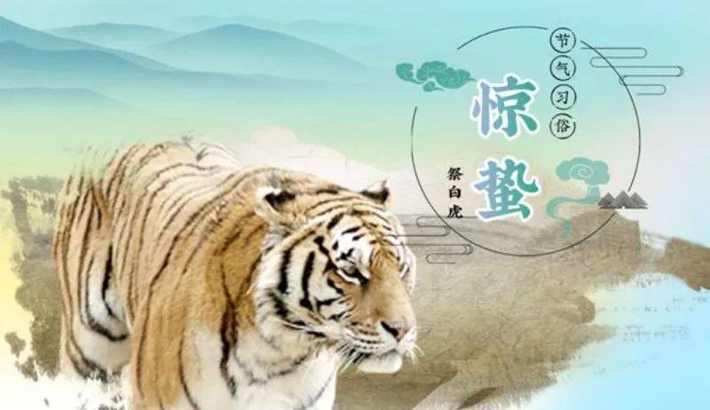 祭白虎在广东一带民间有在惊蛰"祭白虎化解是非"的说法,据称白虎为