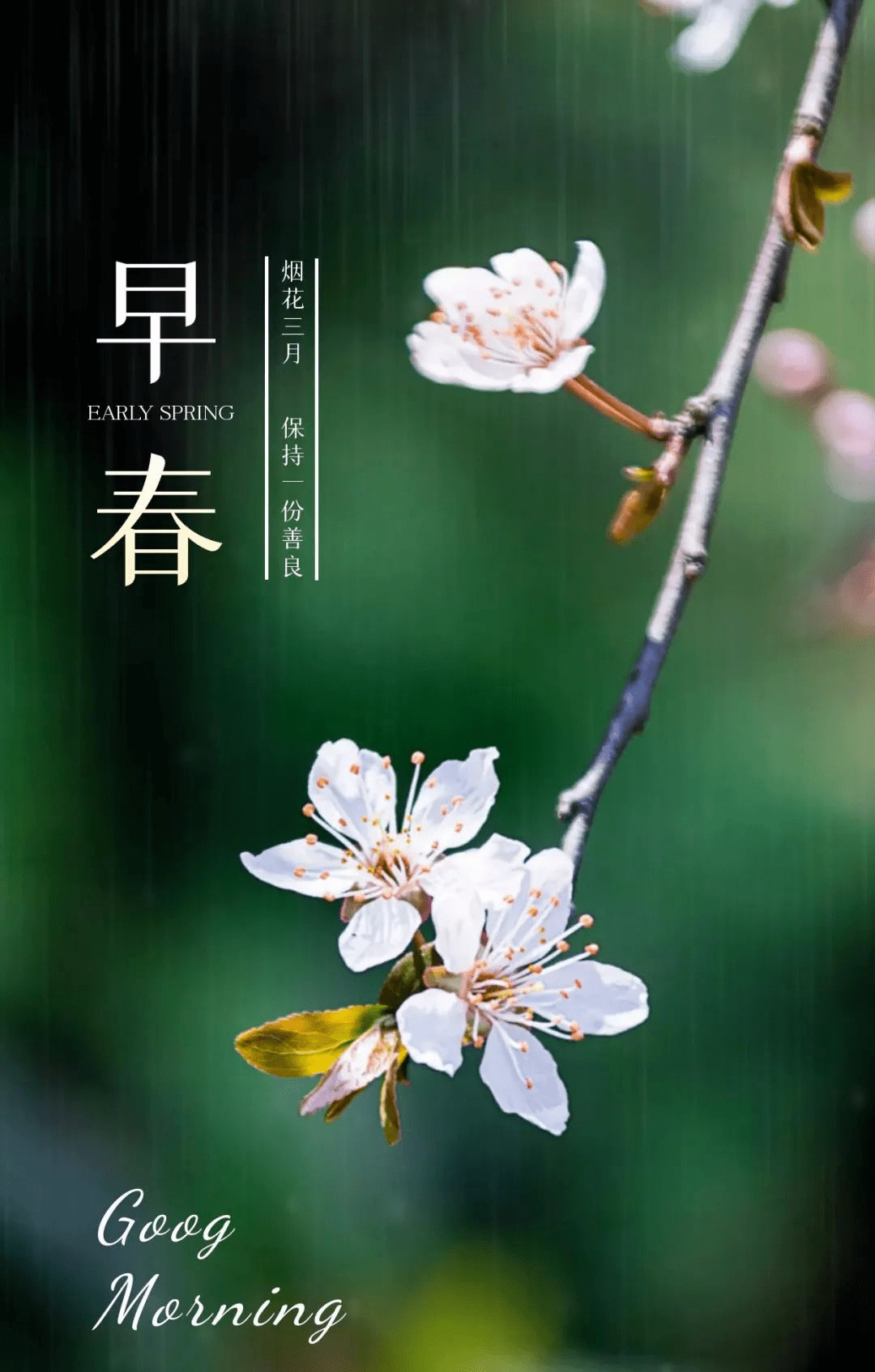 烟花三月早安很暖心的一句话