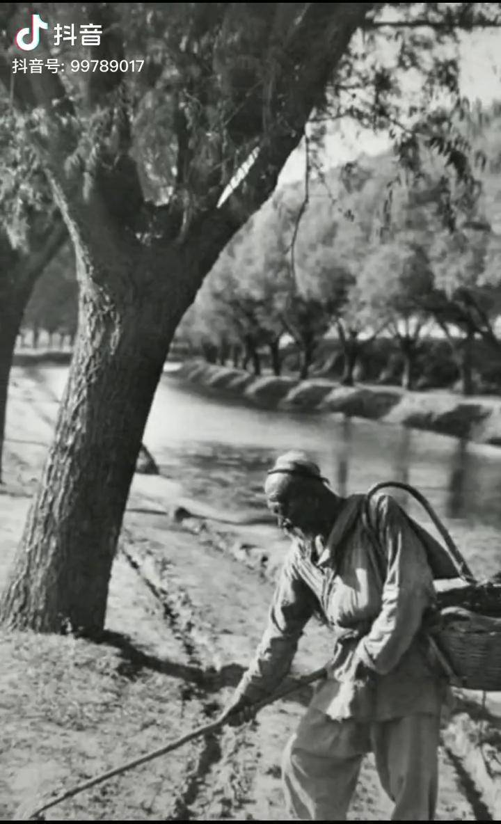 1917年民初郊外拾粪的老人表情专注的他正用工具铲地上的粪便背上的篓