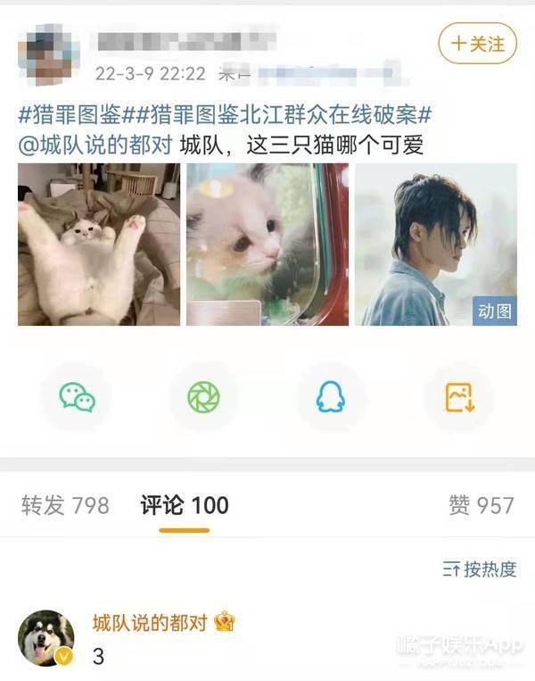 猫狗系警官猎罪图鉴金世佳檀健次惊险追凶拿画笔当武器