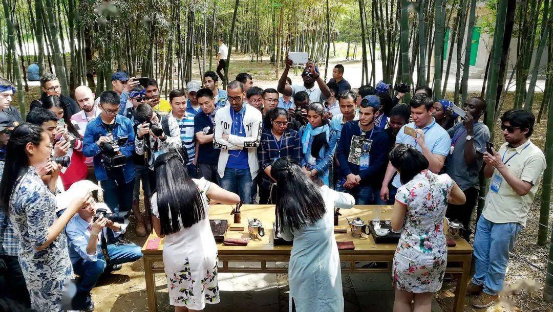 学生观看茶艺表演(神州学人资料图)出台国际学生辅导员职业能力标准