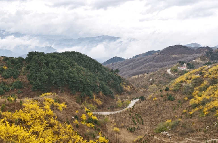 蓝关古道海拔1350米,位于西安市东南30余公里的秦岭北麓,从峣山始起