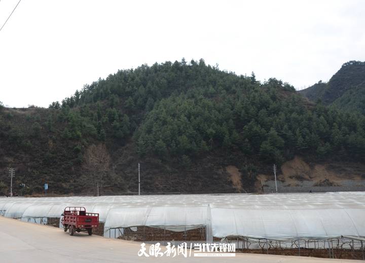 赫章县河镇乡引进人才驻大山奋力谱写新篇章