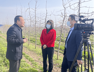 全国最美基层政协委员曹儒走进直播间