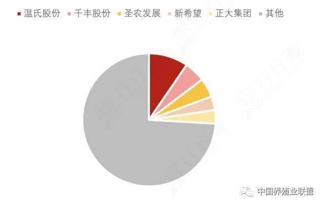 肉鸡成新爆发风口产业链掀新一轮涨价潮