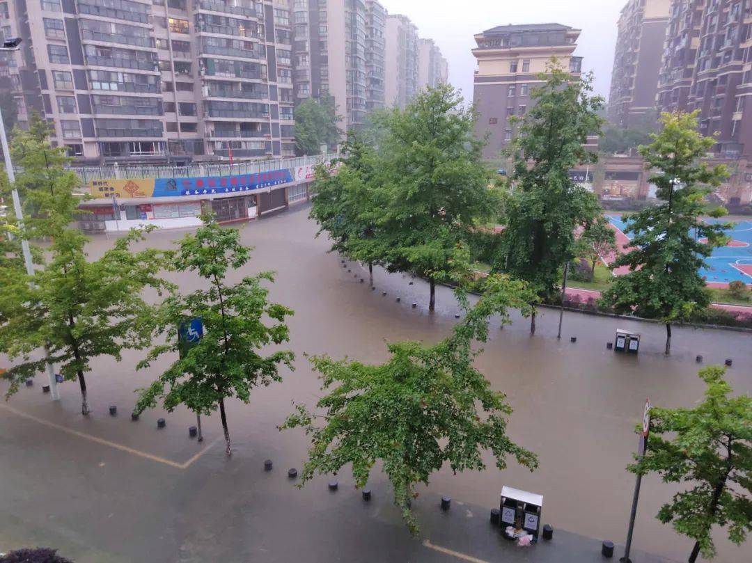 凌晨暴雨办公场所积水电路瘫痪这群人竟然