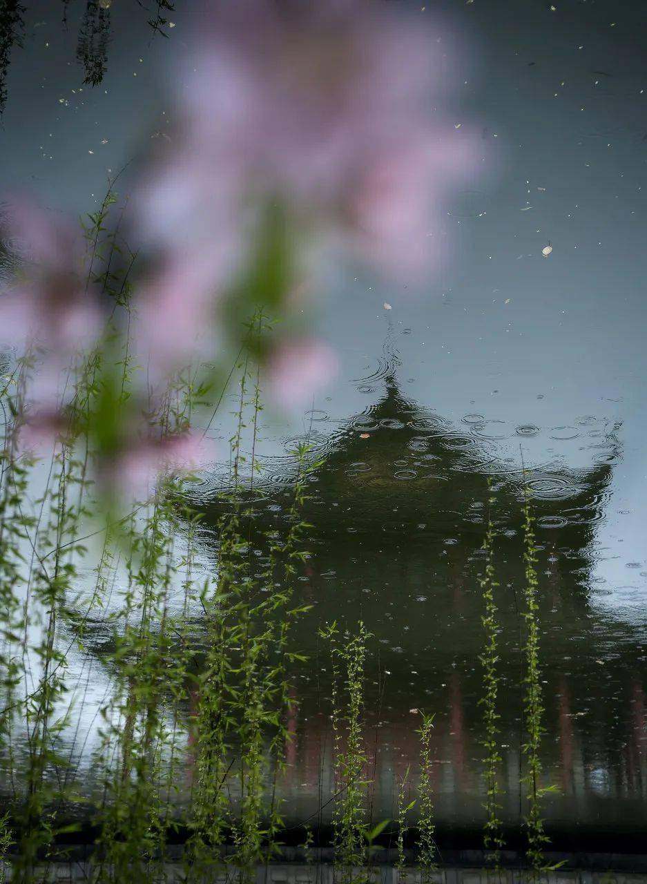 杏花,烟雨,醉江南_笔下_诗意_春雨