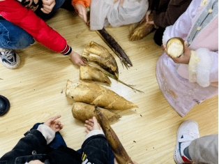 课程故事遇见春笋柘荣县机关幼儿园中五班幼儿的探秘之旅