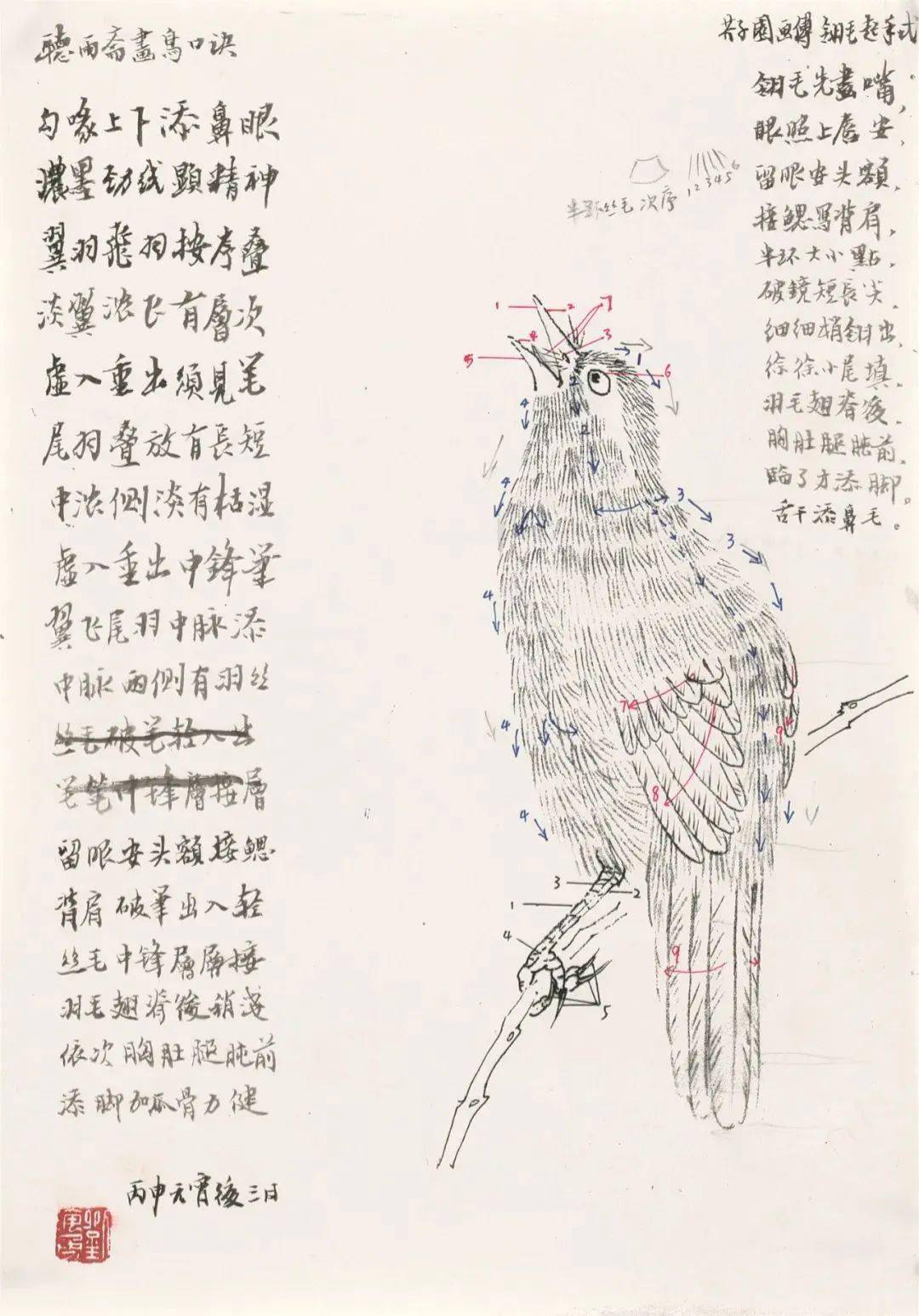 历代名画解析——中国花鸟画白描(下)_发展_作品_风格