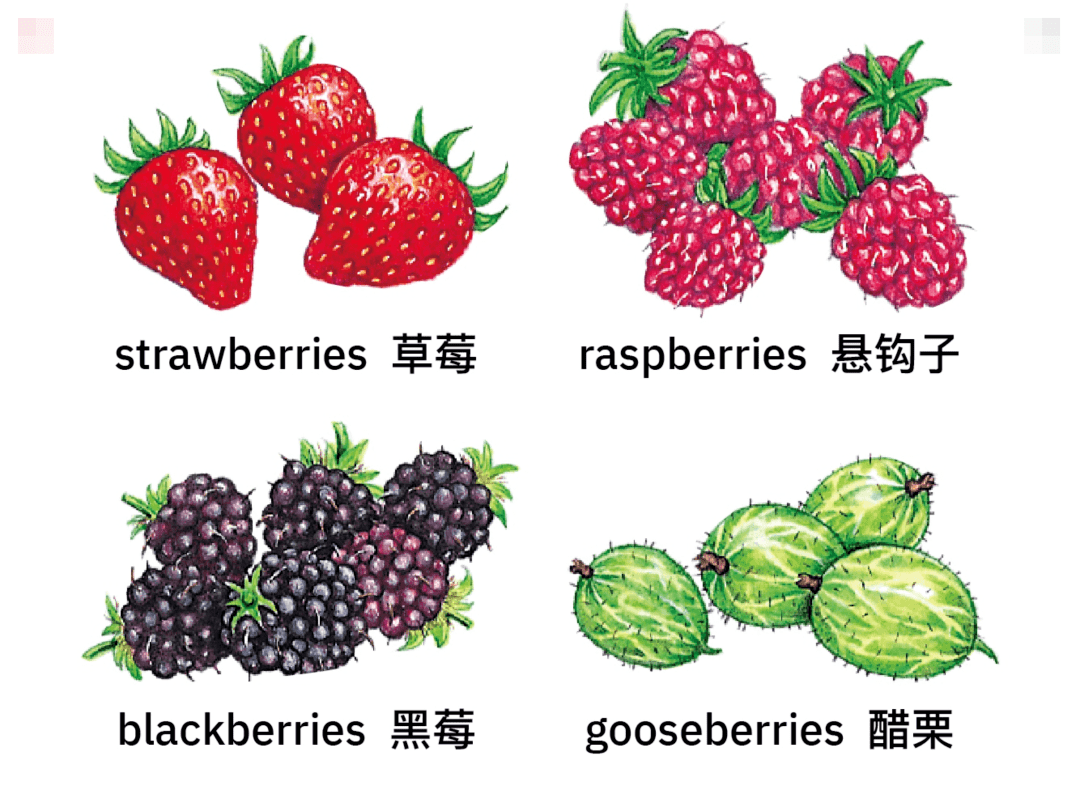 无花果 figs ;杨桃 star-fruits