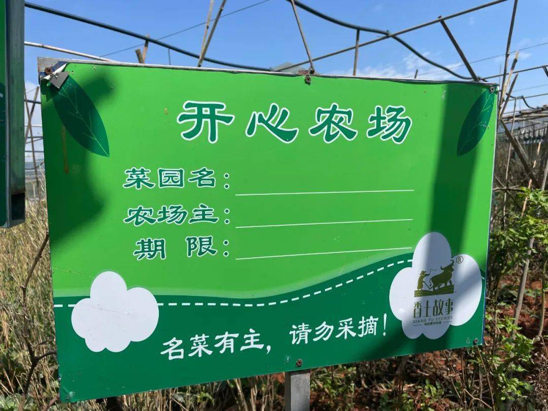 玩场开心农场开种啦去打造一块属于自己的菜地吧