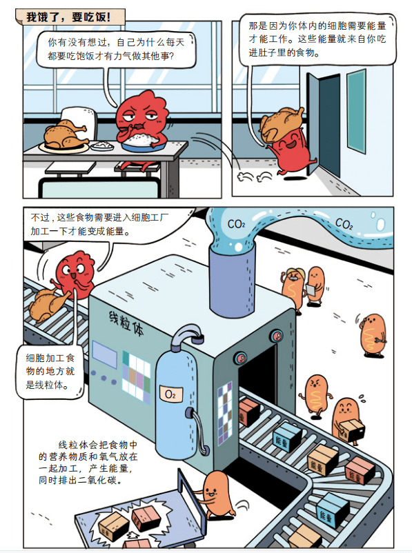 教科书般严谨全面的知识体系