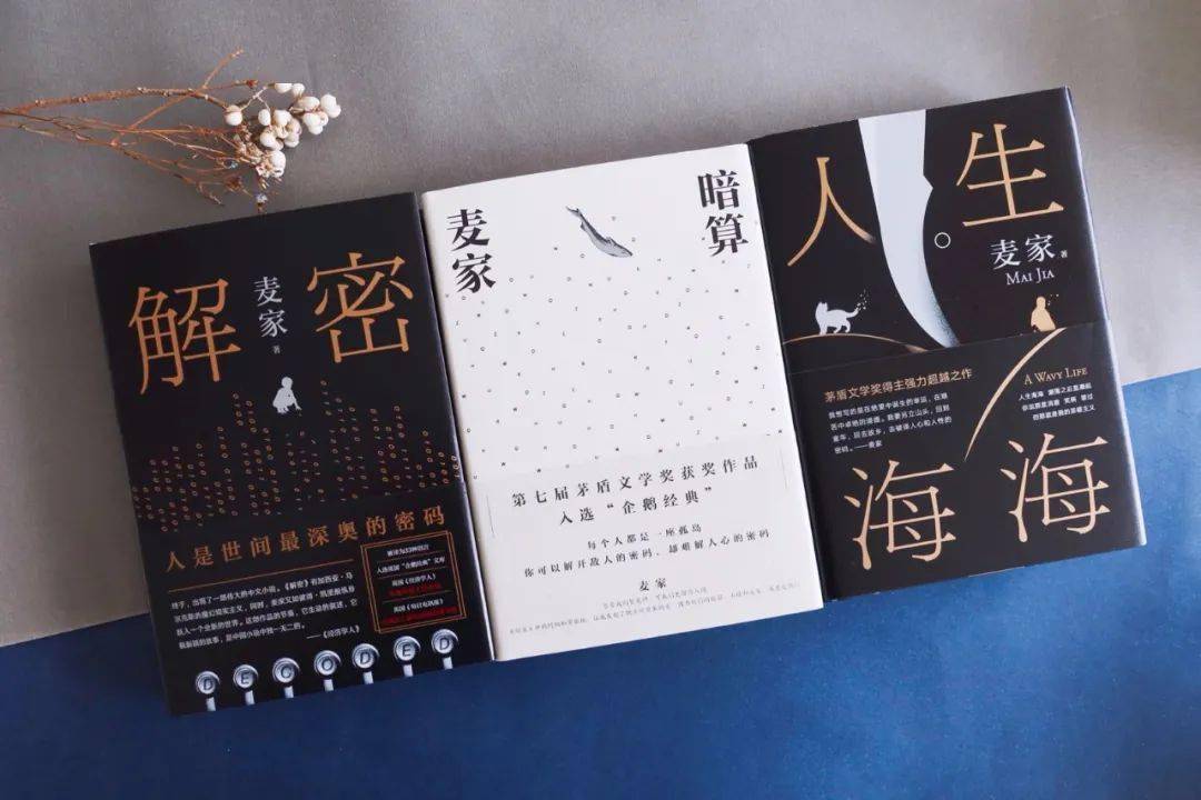 麦家三部曲这个男人写透了人性的爱与欲