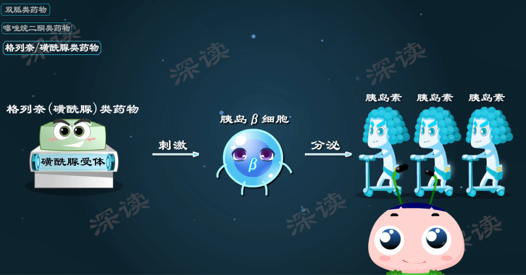 磺酰脲类药物一般要在饭前半小时服用,要给药物发挥作用的时间.