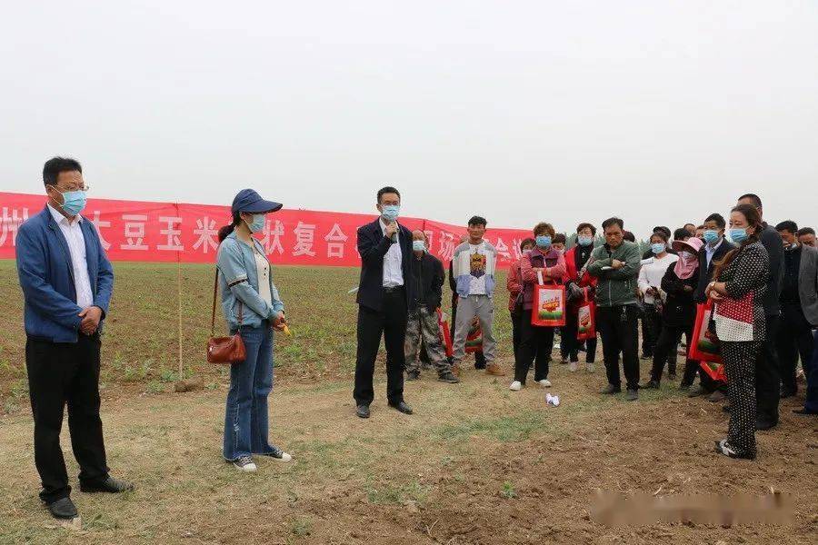 市农技推广中心研究员王延玲现场讲解了大豆玉米种植播种期,播种量