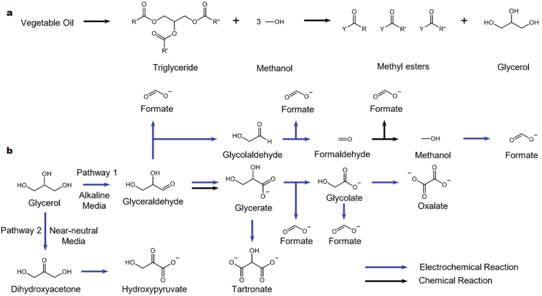 清华大学段昊泓副教授scichinamater综述非贵金属基催化剂用于生物质