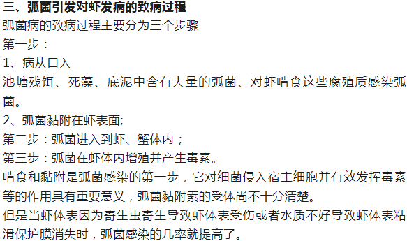 弧菌爆发增长期到了,教你一招搞定弧菌病_养殖_对虾_底部