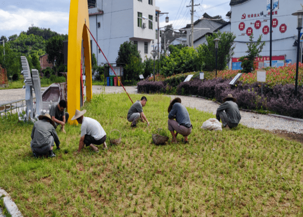 【青年干部"四下基层"实践锻炼】奔赴基层锤炼本领 实干担当砥砺奋进