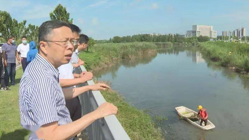 在坛山岛人工湿地公园,陈明骏查看马影河生态治理情