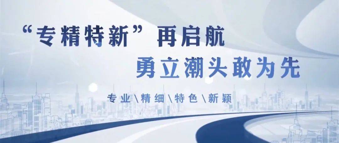 南平广播电视台:张振城 胡宗榕"专精特新"再启航勇立潮头敢为先为