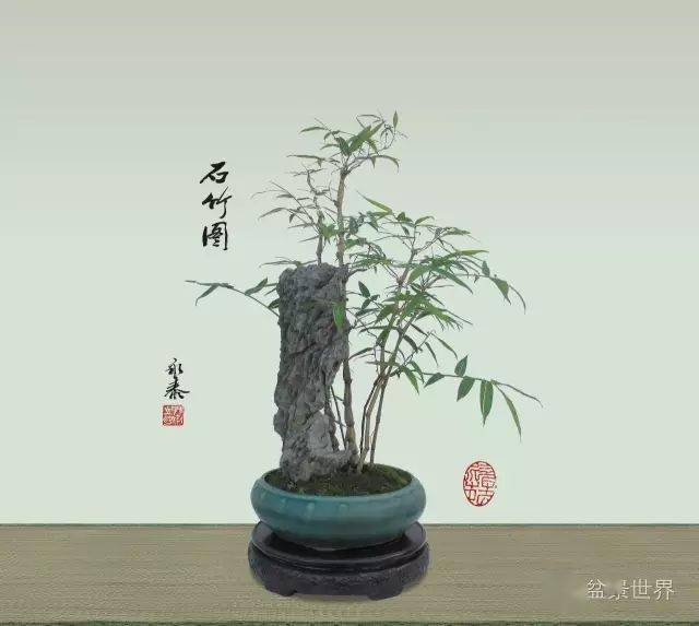 郑永泰大师教你做竹子盆景