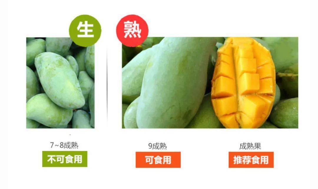 佳沛新西兰阳光金果直降45元!送礼自己吃都很顶!_水果_奇异果_芒果